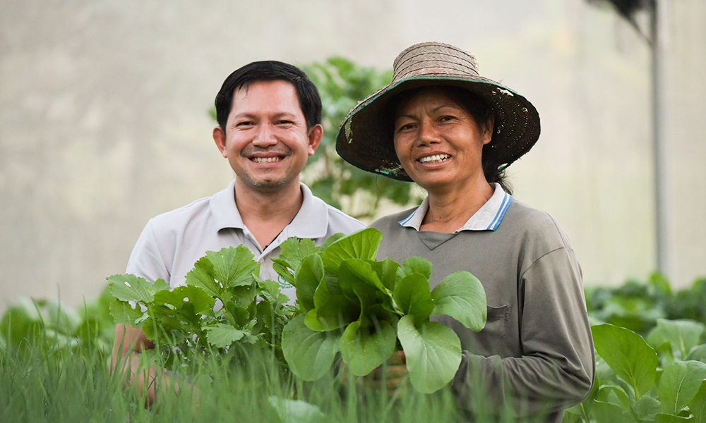 cp vet 2612 udon main