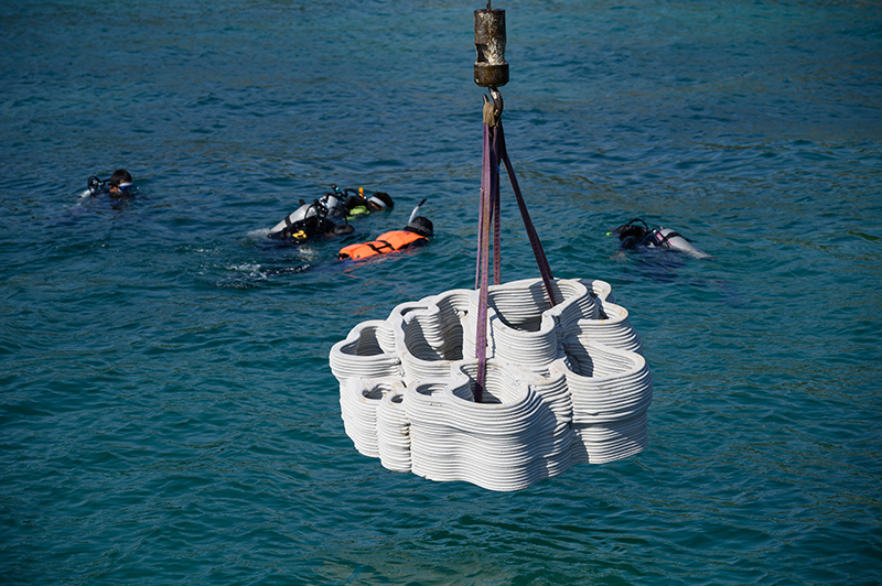 scg cpac3d 1912 pic1