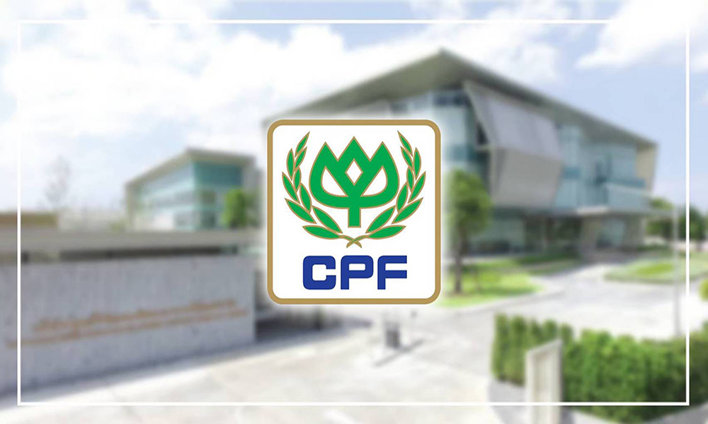 cpf RDCenter 2502 m1