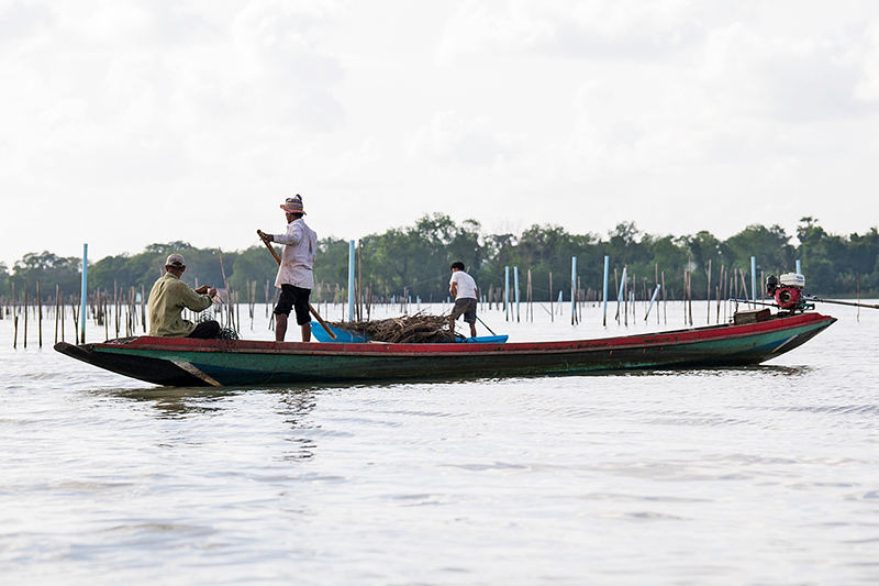 cpf developmentplan 2402 p4