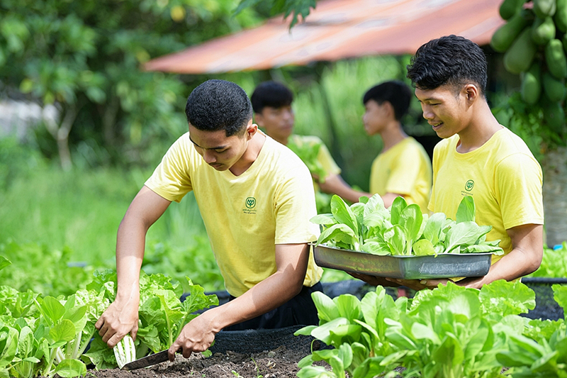 cpf developmentplan 2402 p5