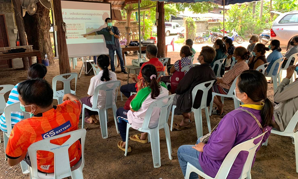 cpf sweetcorn 1402 m1