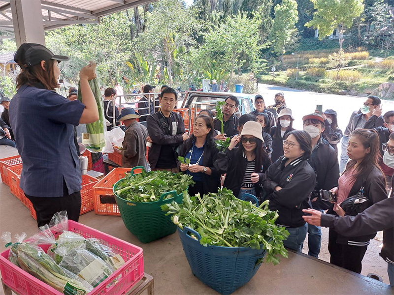 isra cnx rpf 1602 p4