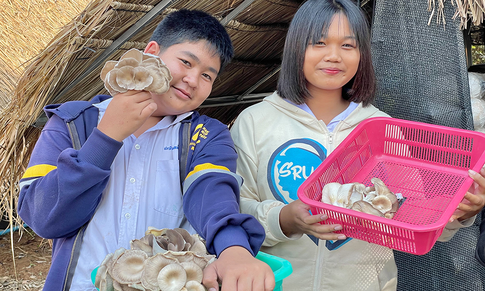 cpf CHAIPOOM 1603 m1