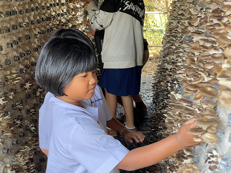 cpf CHAIPOOM 1603 p3