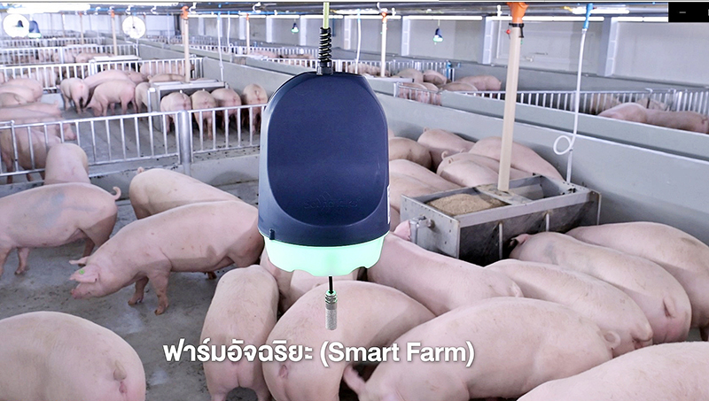 cpf Greenfarm 0303 p3