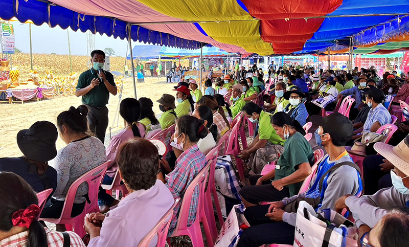 cpf sweetcorn 2403 p2