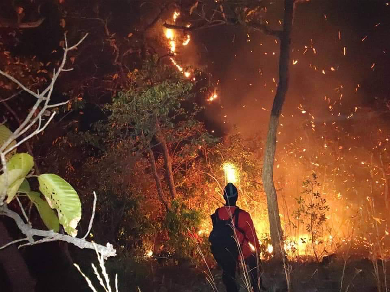 cpgroup firehotspot 2403 p5