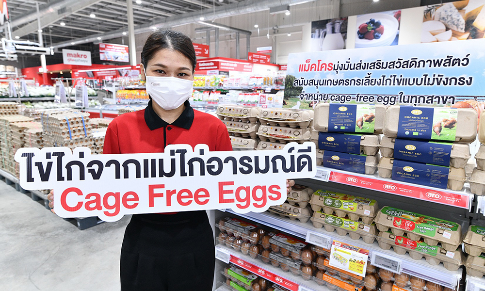 makro cageegg 2903 m1