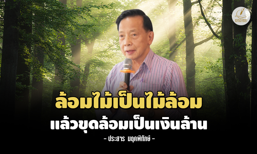 prasan forest 0703 m1