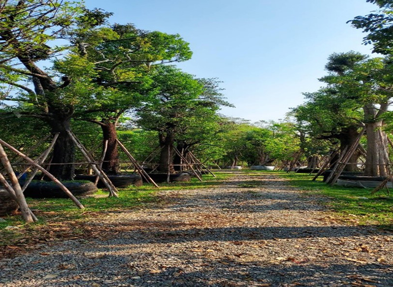 prasan forest 0703 p2