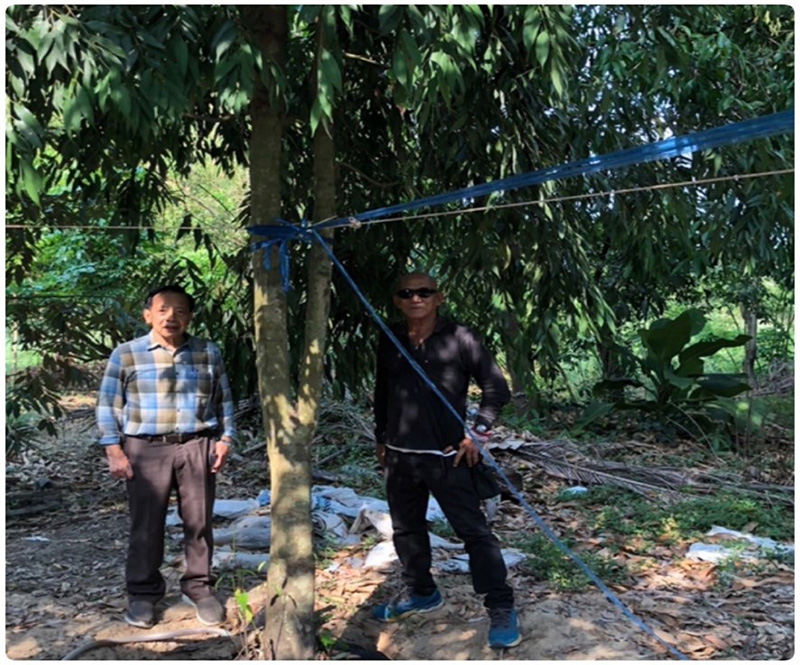 prasan forest 0703 p4