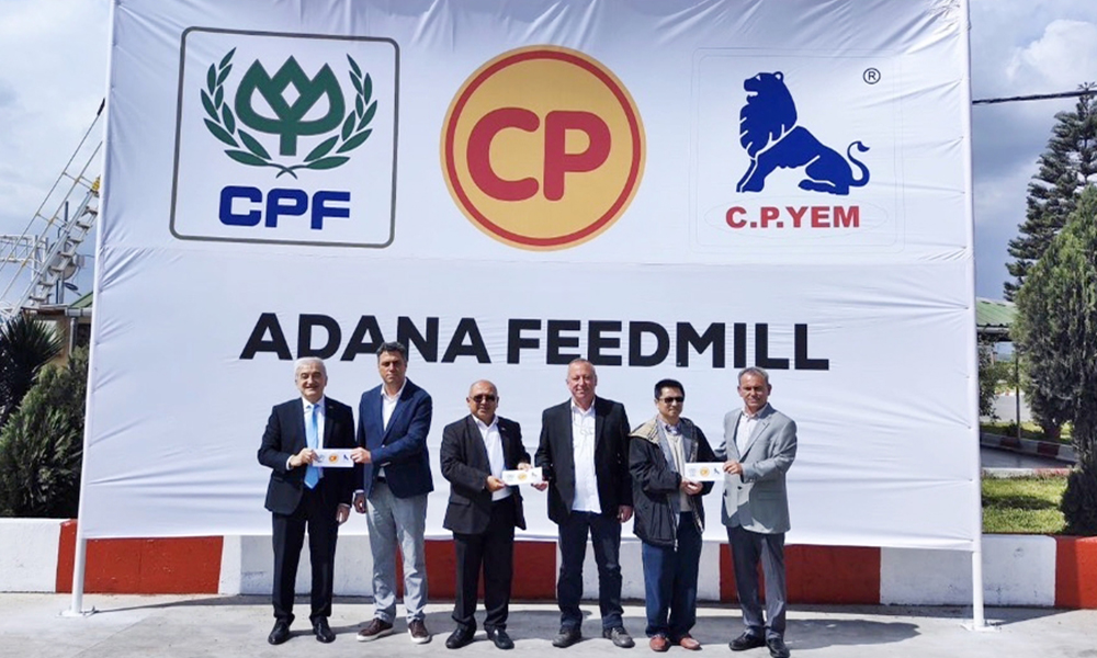 cpf StandartGida 2504 m1