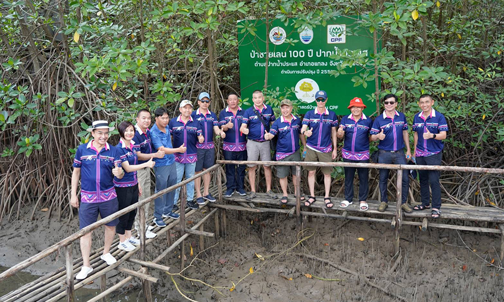 cpf mangroveforest 1105 m1