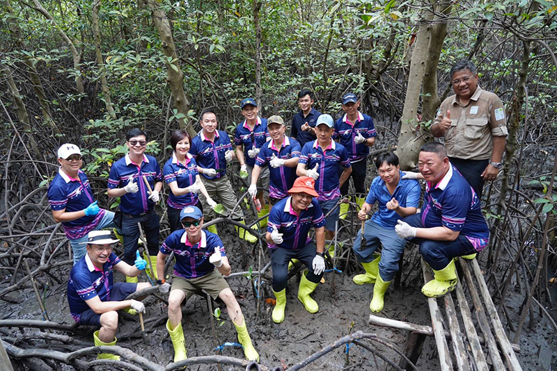 cpf mangroveforest 1105 p2