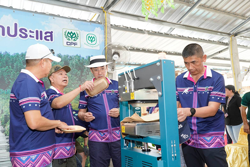 cpf mangroveforest 1105 p5