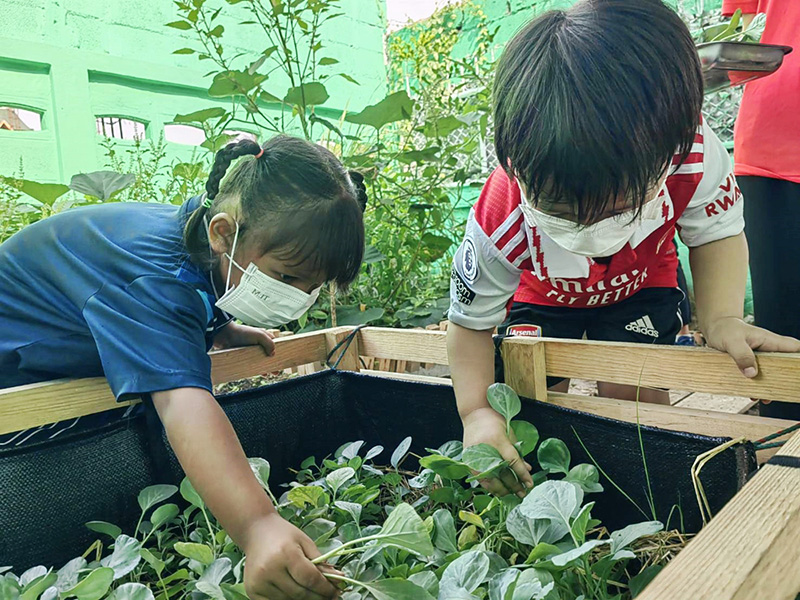 cpf vegetable 2505 p2