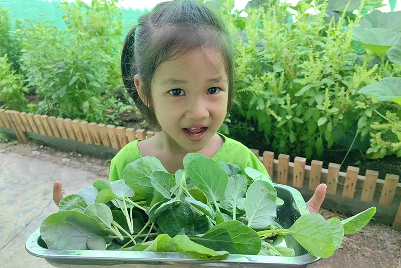 cpf vegetable 2505 p3