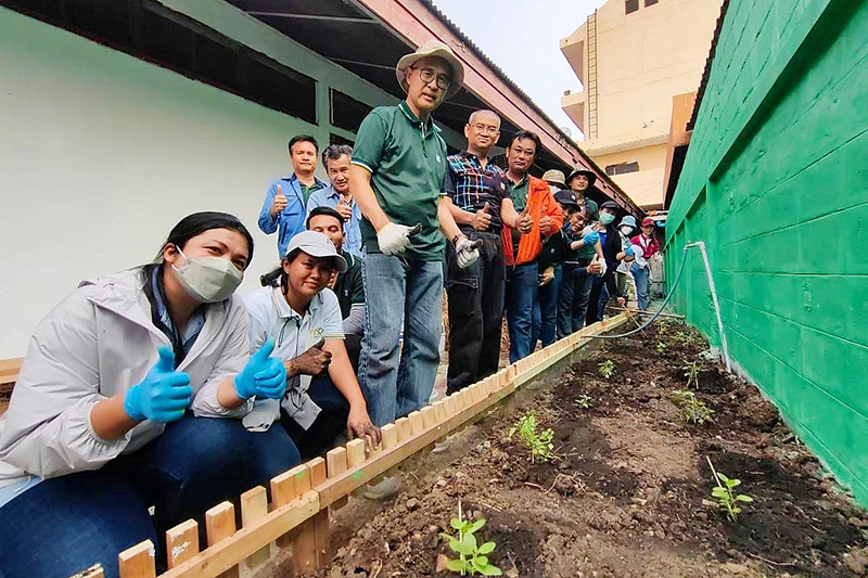 cpf vegetable 2505 p4