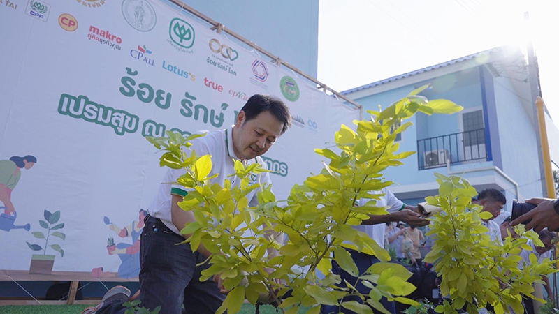 cpgroup plantatree 2205 p4