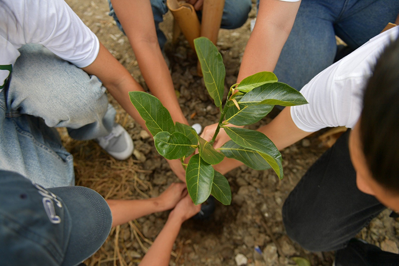 cpgroup plantatree 2205 p7