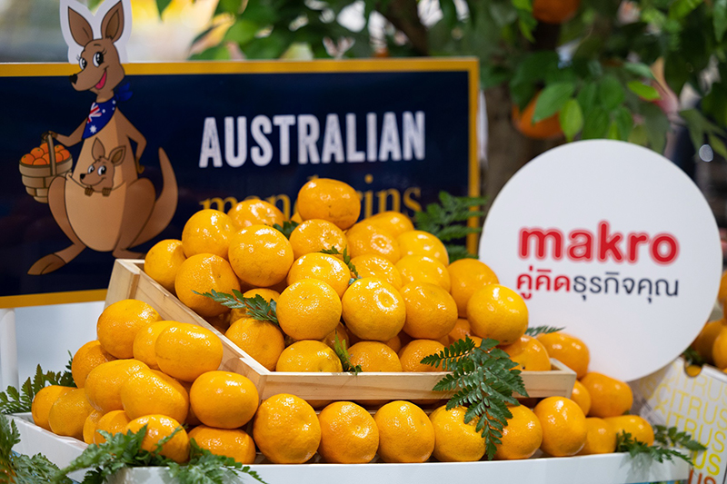 makro freshfood 1605 p3