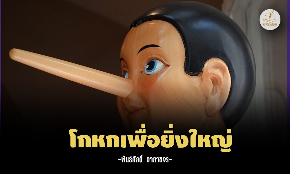 pansak liebig 1305 m1