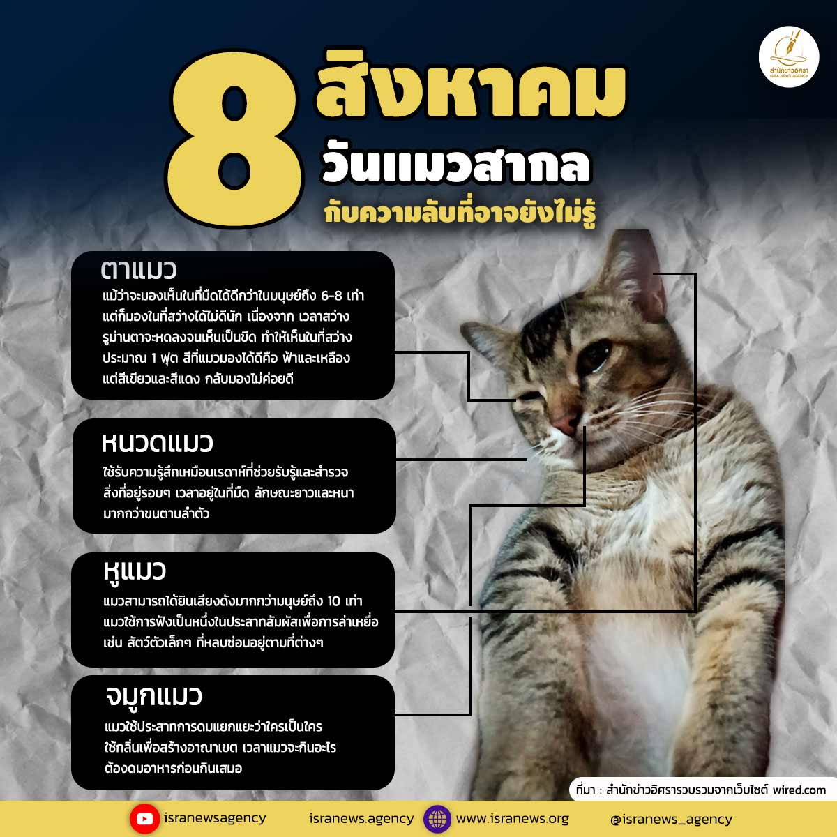 CAT 08 สค