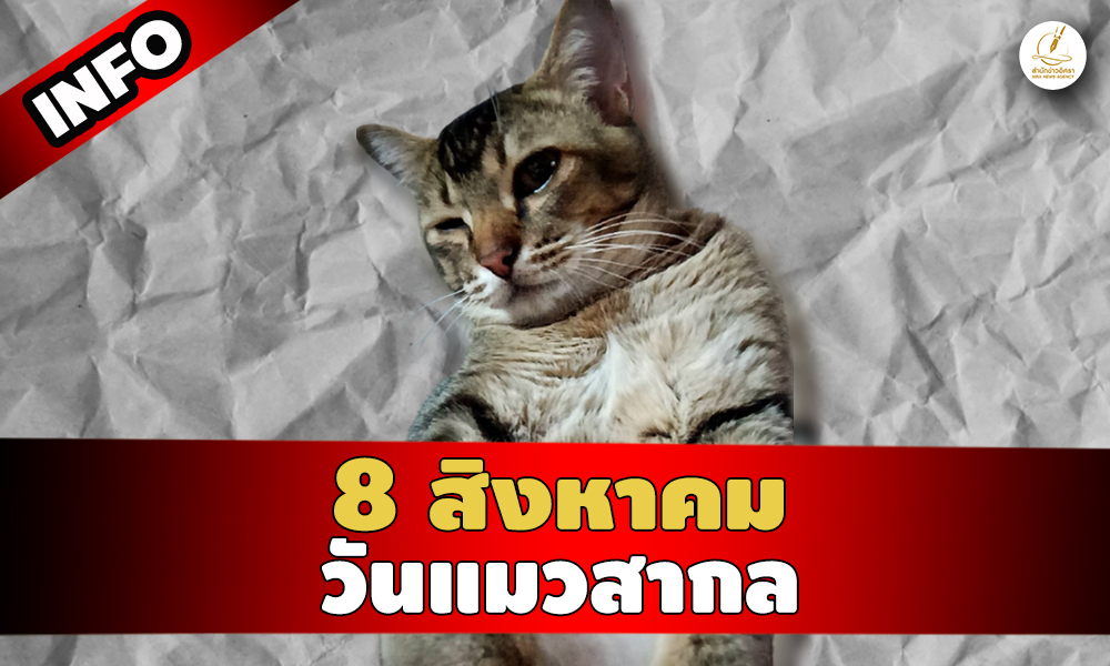 Cover CAT 08 สค