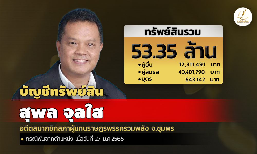 cover infodisuPL asset