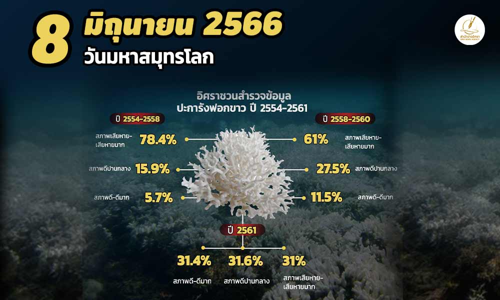 cove mktcorarl1000x600
