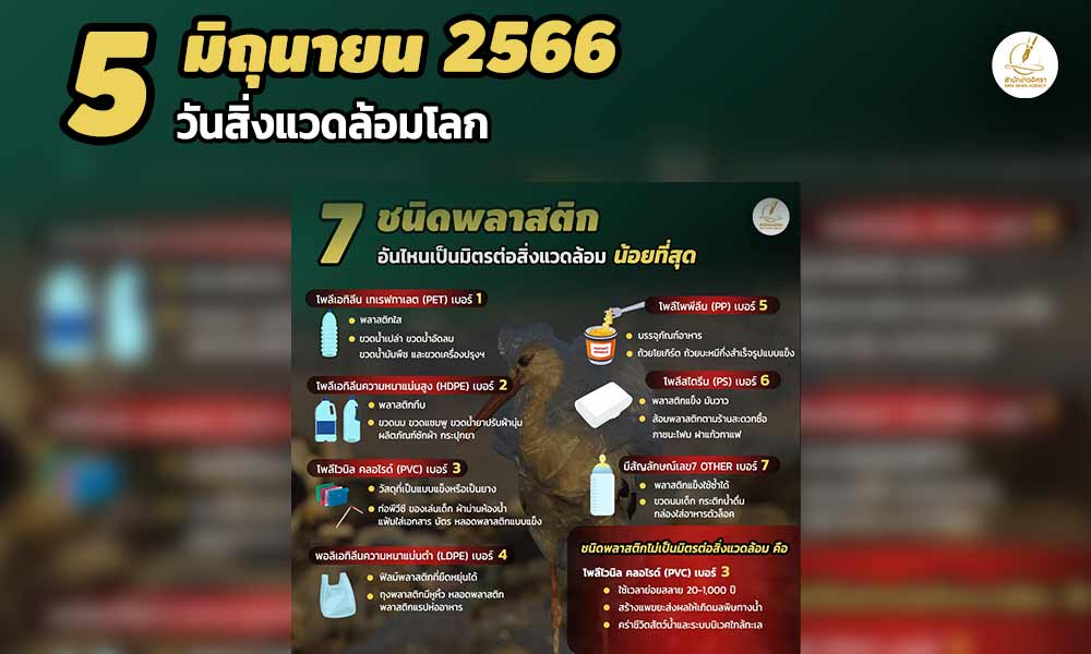 cove mktenvironment1000x600