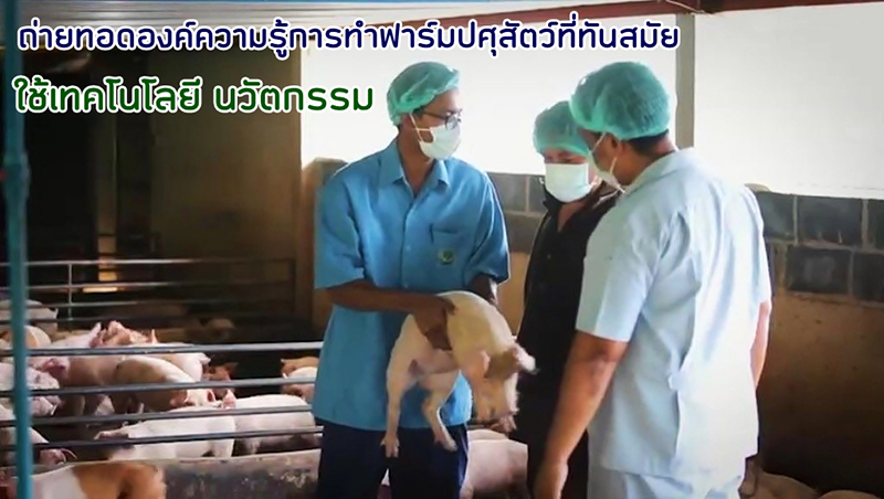 CLIP VDO CPF 12 01 4