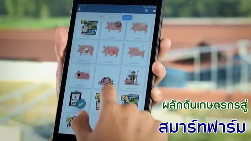 CLIP VDO CPF 12 01 5