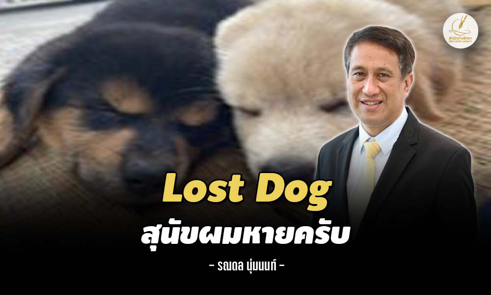 LostDog 09 03 1