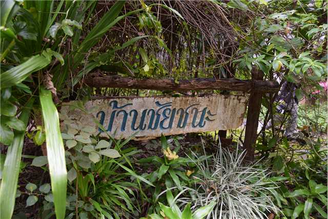 picdsiiisasaasassa6 1 67