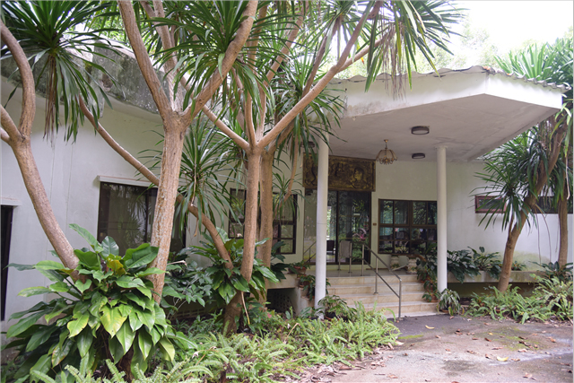 picsasaasasassaassaasassa6 1 67