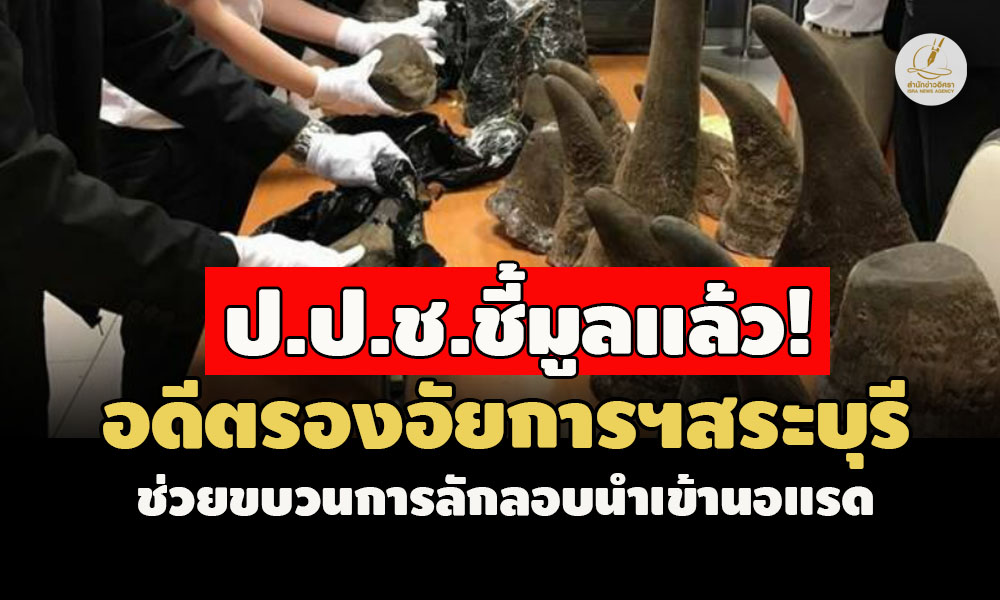 picpppcnnaioosasasasasa25 6 67