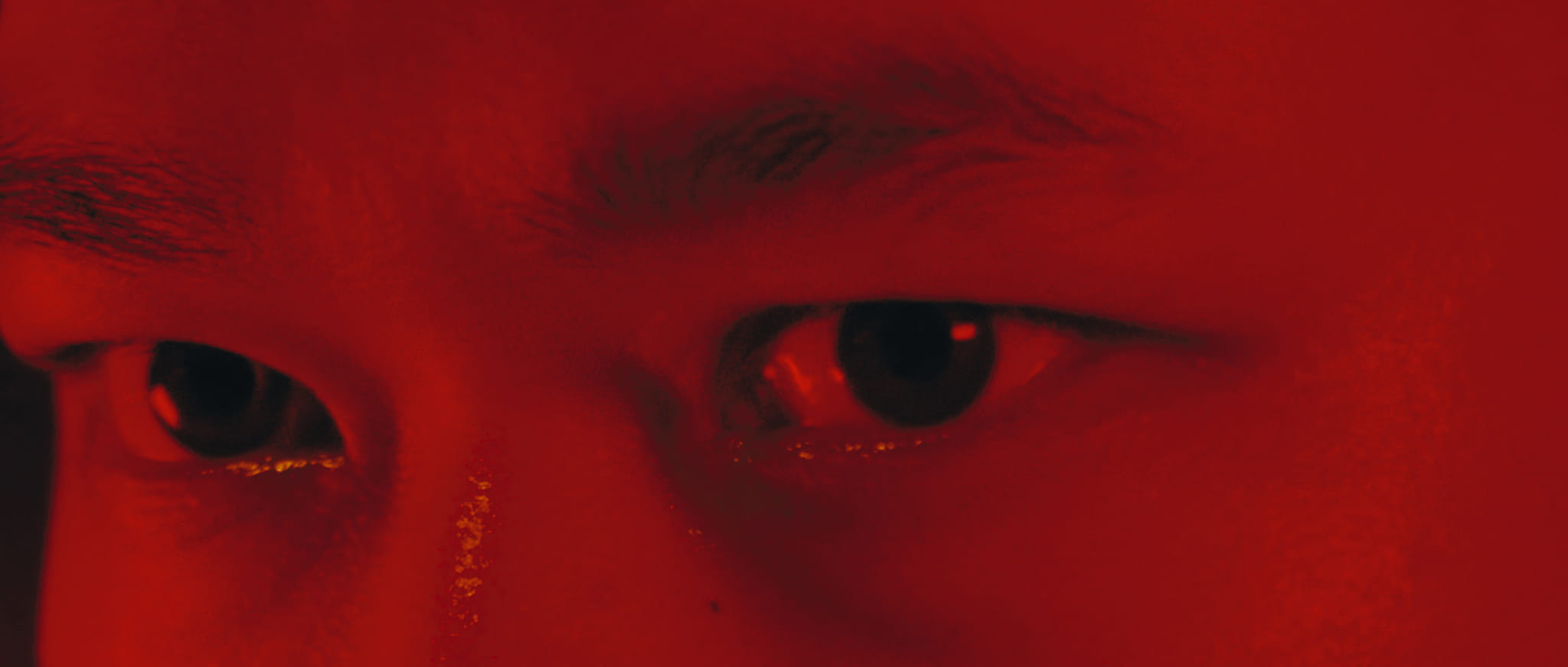 419500975 2682978925190291 1188858207451963899 n