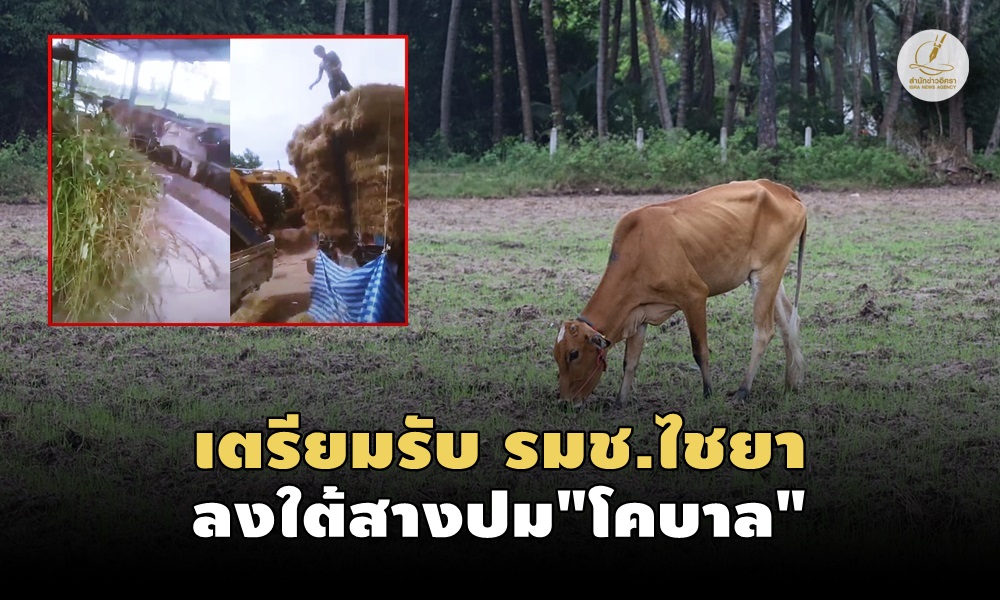 raisingcowssouth28010