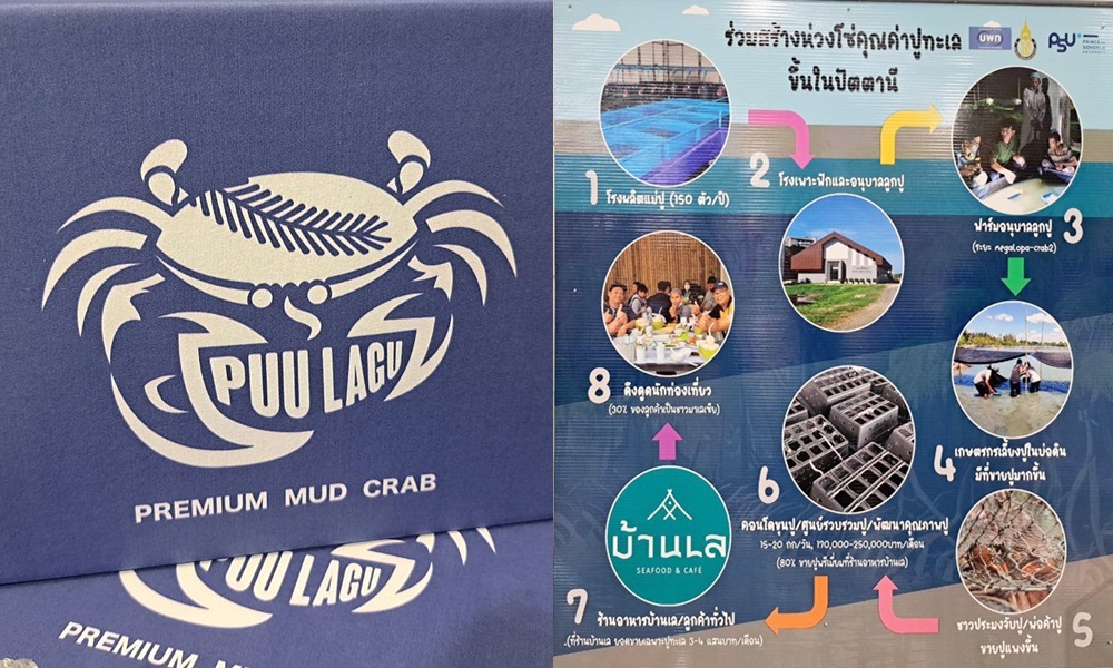 researchseacrabs14014