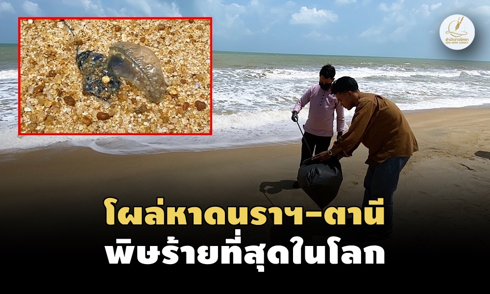 physaliabanthon170200