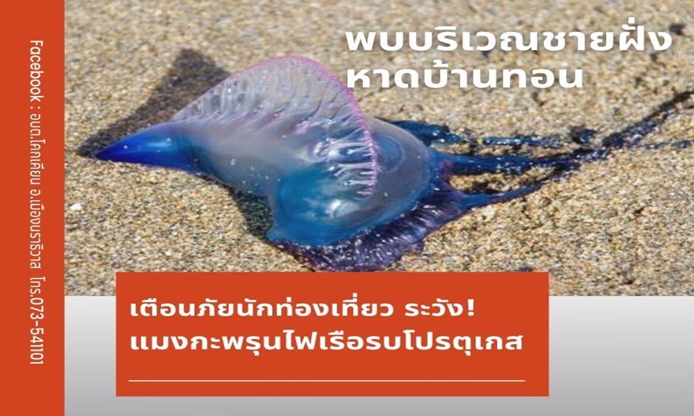 physaliabanthon17024