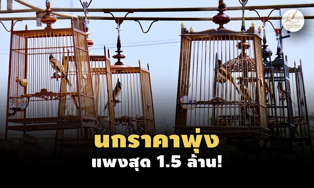 redwhiskeredbulbul25020