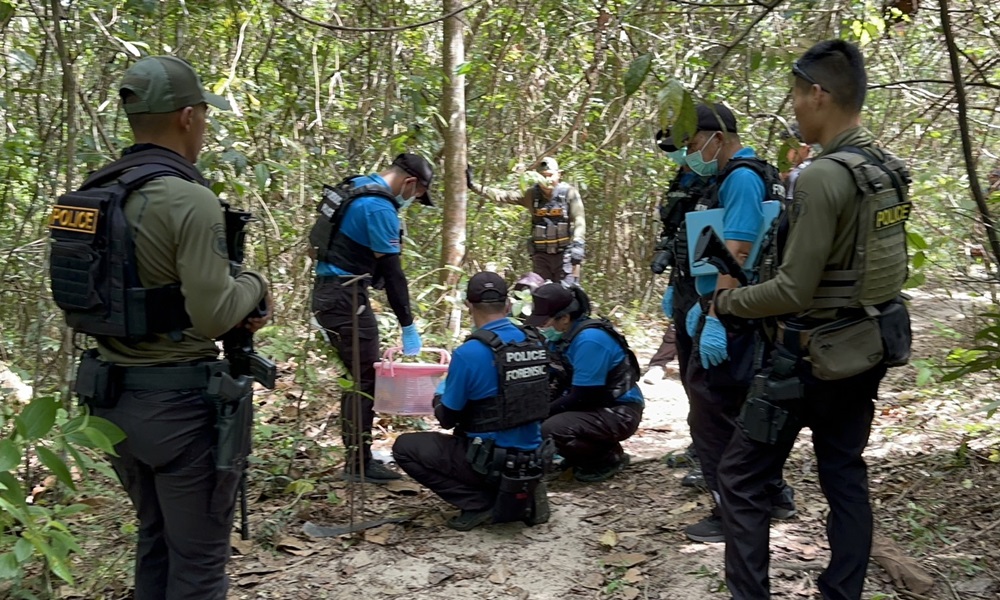 waearicopternara03021