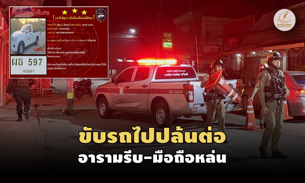 pickuptruckrobbery11030