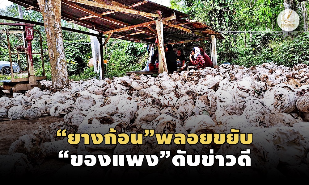 rubberexpensive090300