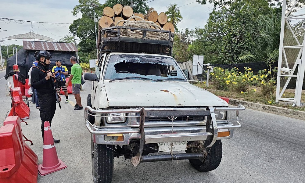 rubberwoodtruck28041