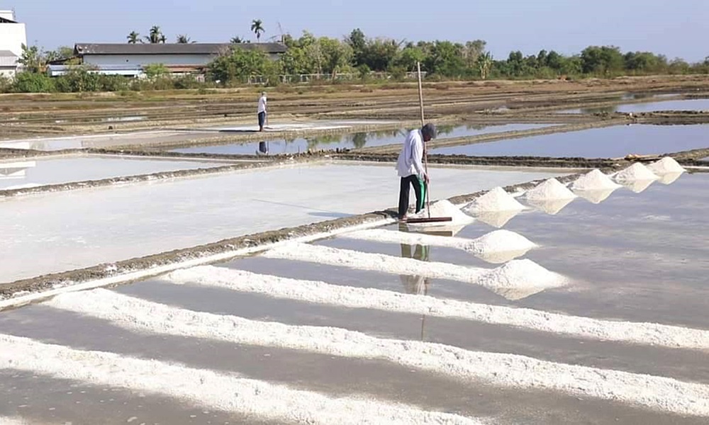 sweetsaltpattani07041