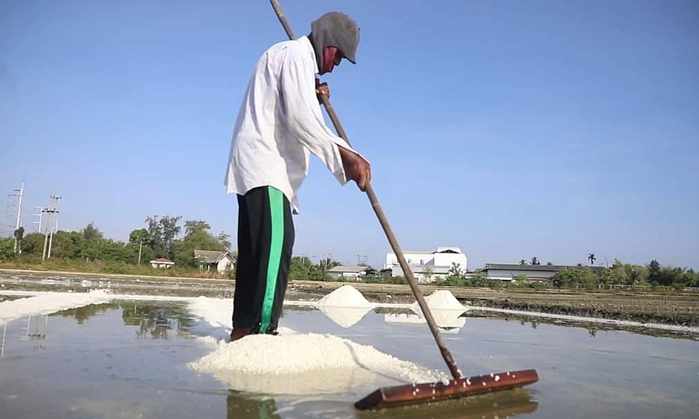 sweetsaltpattani07042